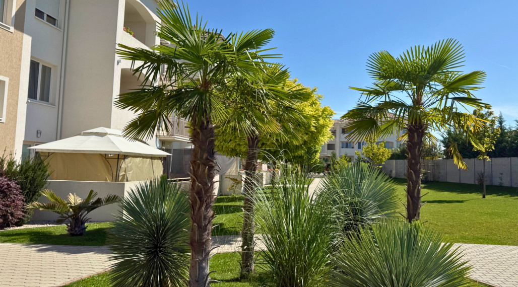 Prenájom|  NOVÝ 2i byt | AlicanteGate